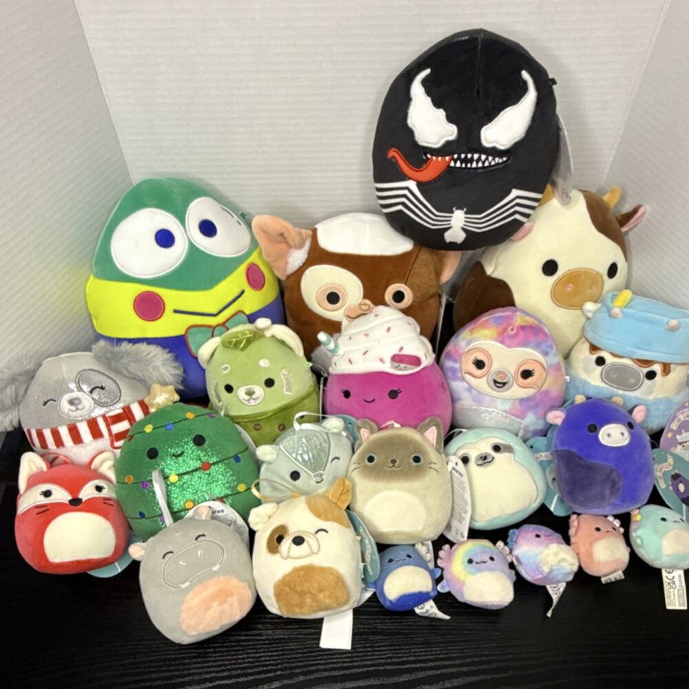 Squishmallows Mixed 22 Lot Plush Toys Various Characters Mini to Medium Sizes